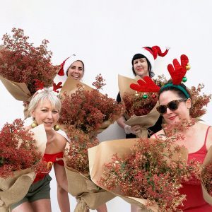 Christmas Bush