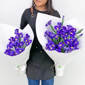 Two bouquets of blue Iris, one little and one large, wrapped in white paper - Sydney flower delivery