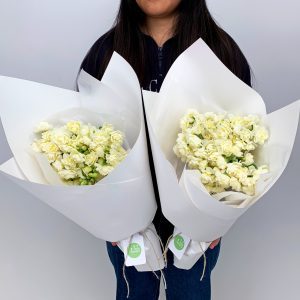 Two bouquets of Earlicheers, one little and one large, wrapped in white paper - Sydney flower delivery
