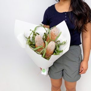 Little Banksia – Sydney flower delivery
