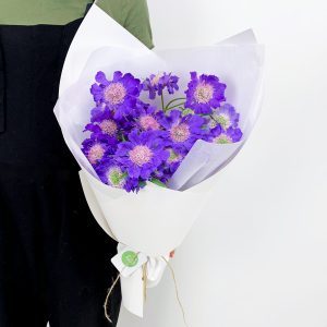 Bouquet of purple scabiosa in full bloom - Sydney flower delivery