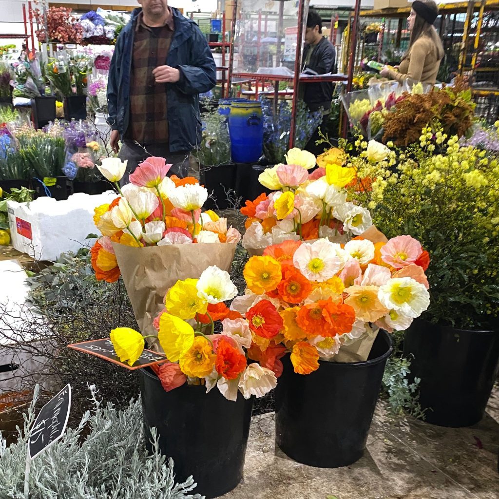 Seasonal Australian-grown flowers at Sydney Flower Market