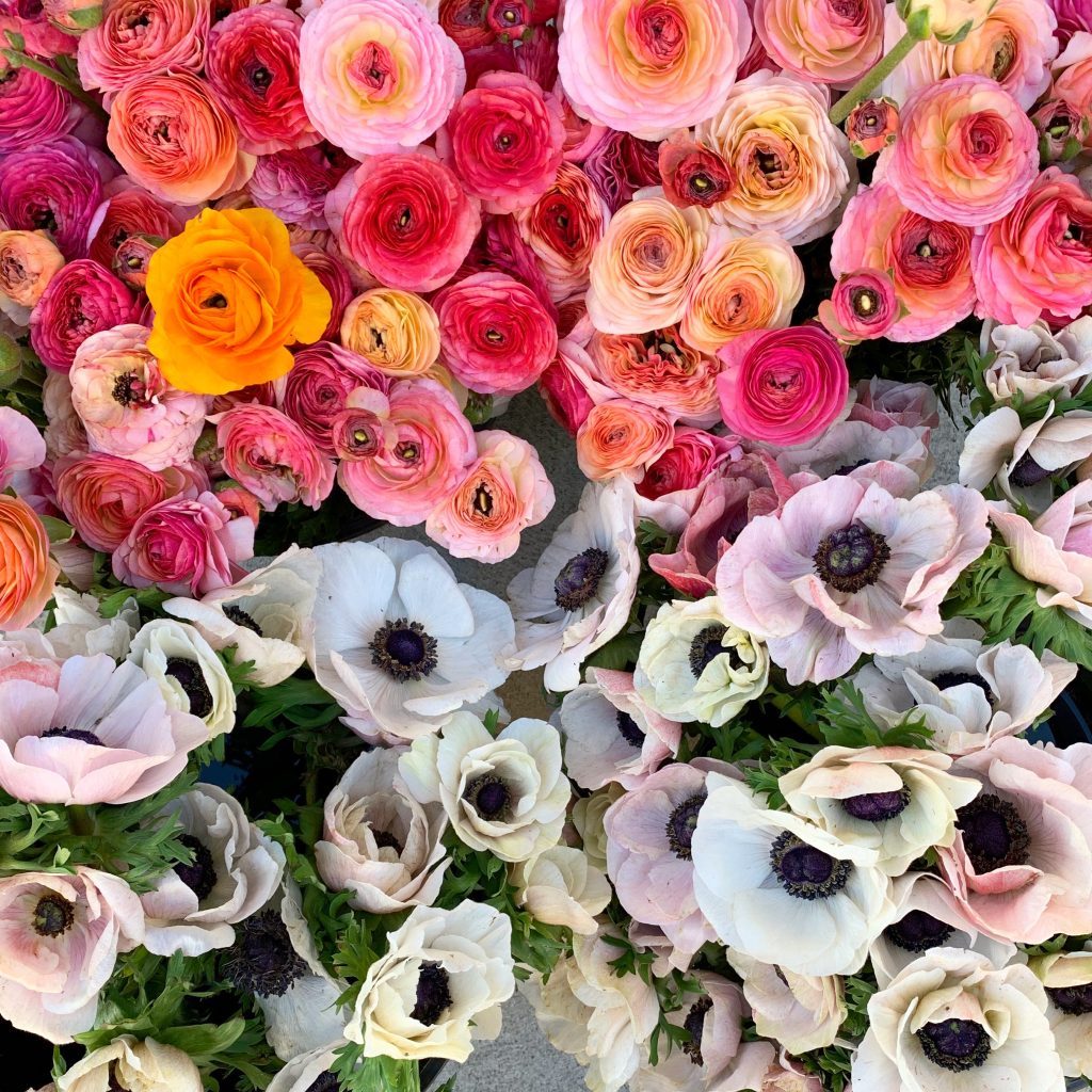 Spring flowers included in the Seasonal Flower Club Sydney